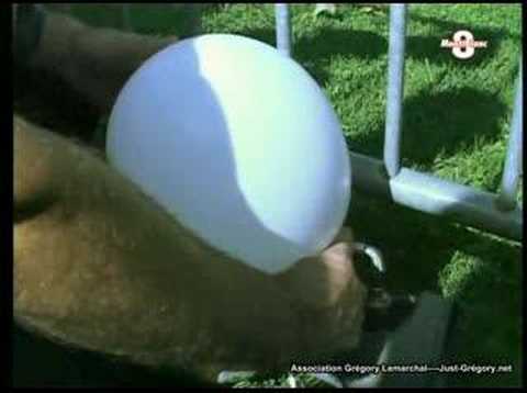 TV8 Mont Blanc - Aix-les-Bains (16 ...