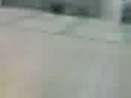 vinny into gate vinny into gate