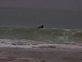 ol�ron surf (jfais ckejveux!)