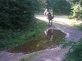 Full galopp genom vattenpölen