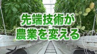 【先端技術が農業を変える!】国際競争力を持った強い農業とは(5分)