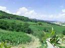 14 Best of Italy - Orvietto, Agriturismo
