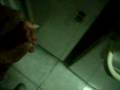 chips de chocolate n.n chips de chocolate n.n