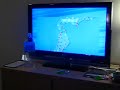 Japan Earthquake 7/24/08