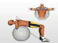 3D Instrucciones Ejercicios \"Chest Press on SB \" para pectorales http://www.passion4profession.net 3D Instrucciones Ejercicios \"Chest Press on SB \" para pectorales http://www.passion4profession.net