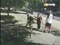 BROMA DE ANCIANOS