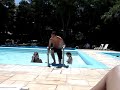O pulo na piscina - Terror em Ipanema O pulo na piscina - Terror em Ipanema