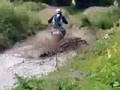 greenlane splash