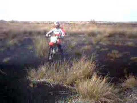Podge gets stuck in the bog of allen