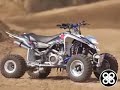 Trinity Racing, 2008 Suzuki LTR450