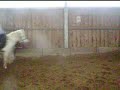 Tous au galop