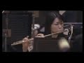 Gyakuten Meets Orchestra 2008 - Godot theme