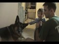 Dylan Playing with Dirk.