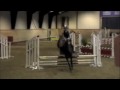 Pay & Jump Amelia & Ginger :)
