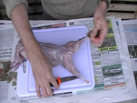 how to skin a rabbit