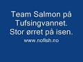Stor ørret på isen