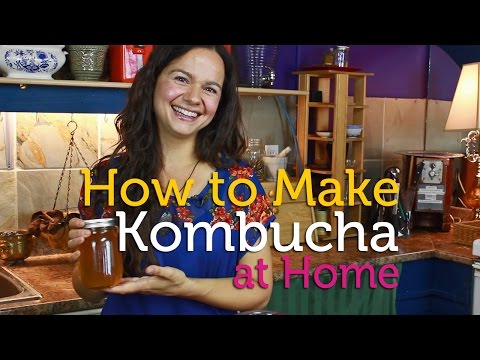 how to harvest kombucha tea