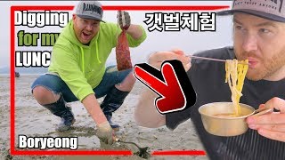 테이스트서울굿 | 외국인 갯벌체험. 2시간동안 정말 열심히 캤어요!