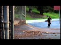Life Splicing No. 001 (0:02:02)