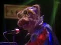 Riverbottom Nightmare Band Riverbottom Nightmare Band