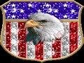 American FlagFifty Stars and a lot of battle scares