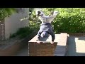Паркурщик-акробат (Nice parkour)