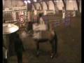 videos de ENIGMA 231108.wmv