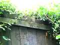 Kurt Cobain house