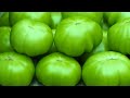 GREENの色をベースに作成した映像と心休まる音楽。ゆっくりと呼吸をし、楽な姿勢で映像と音を楽しんで日々の疲れを癒してください。