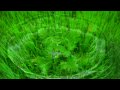 癒しのヒーリング 空間 【Feel the GREEN】 アルファー波 リラックス