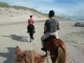 Vedersø Beachtour memory 2008, Michiel Edition