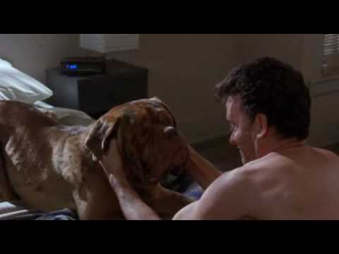 hooch - Bath Time: I swear this is almost what it is like when I try to give my dog a bath at times. She is about the same size as Hooch.