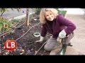 Late Bloomer - Winter Garden Part 3 - Episode 23