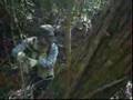 Ver Video