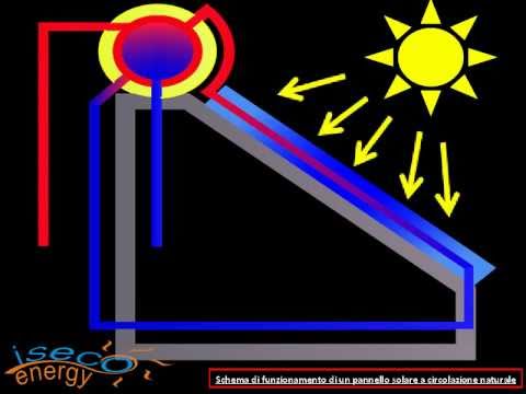 Immagine anteprima YouTube