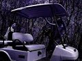 stupid golf carts