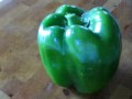 videos de Yolo Wonder Pepper