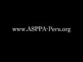Animals In Peru Affected by Quake Need Help