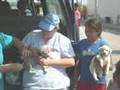 videos de Animals In Peru Affected by Quake Need Help