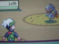 Pokemon The Secret Of Sky Pillar