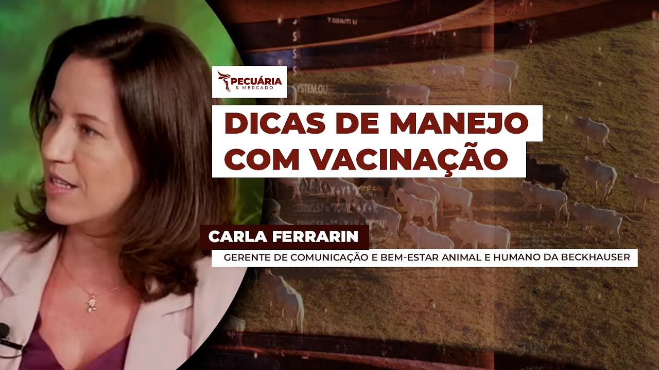 MANEJO EFICIENTE COM CARLA FERRARIN