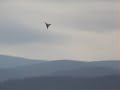Full Hotspot flight