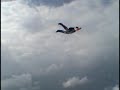 Tracking in Skydiving