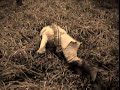 baina-dub.html