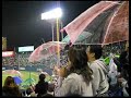 Tokyo Yakult Swallows Umbrella Celebration