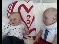 Brasse and Hugo hanging out