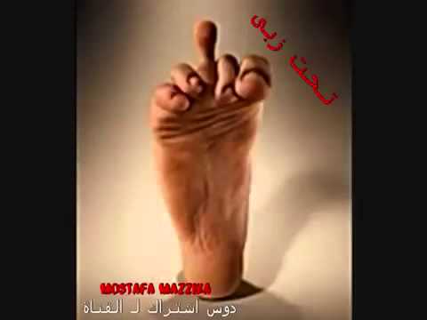 زب كس طيز