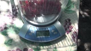 20130629151941