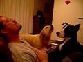 doggies duet with daddy