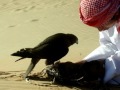 الجرح ارحم عبد الله الضفيري + اشوف الوقت ماجد المهندس